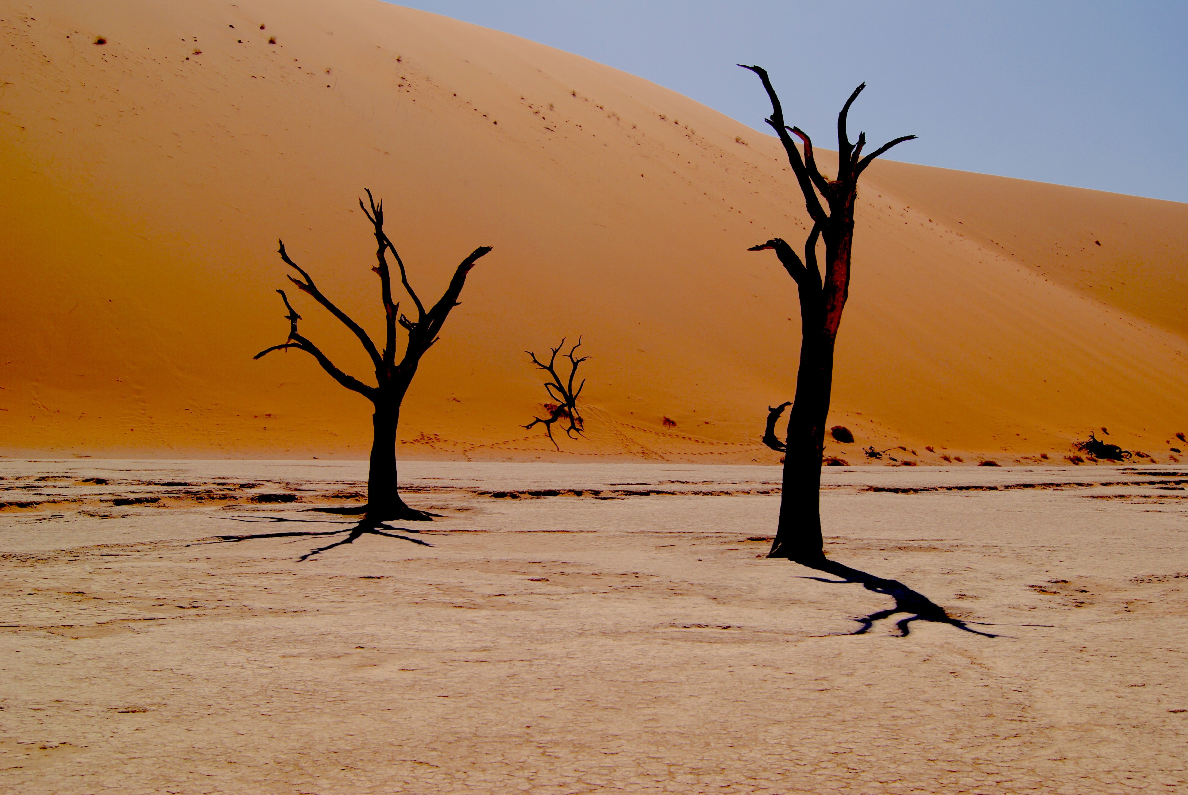 Thirsty in Life’s Deserts