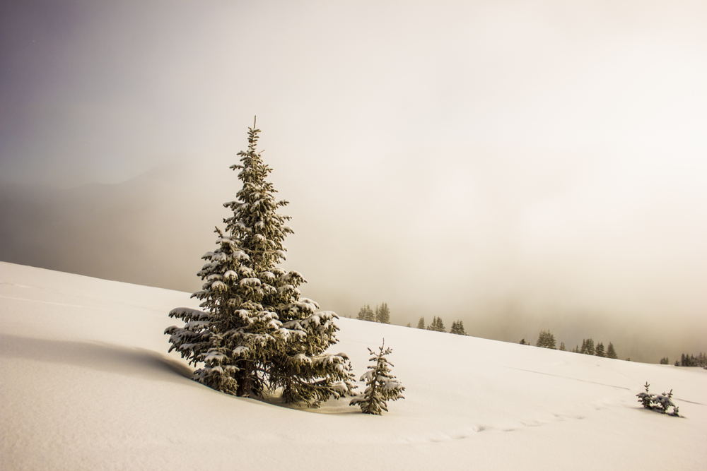 The Prince of Peace…and You