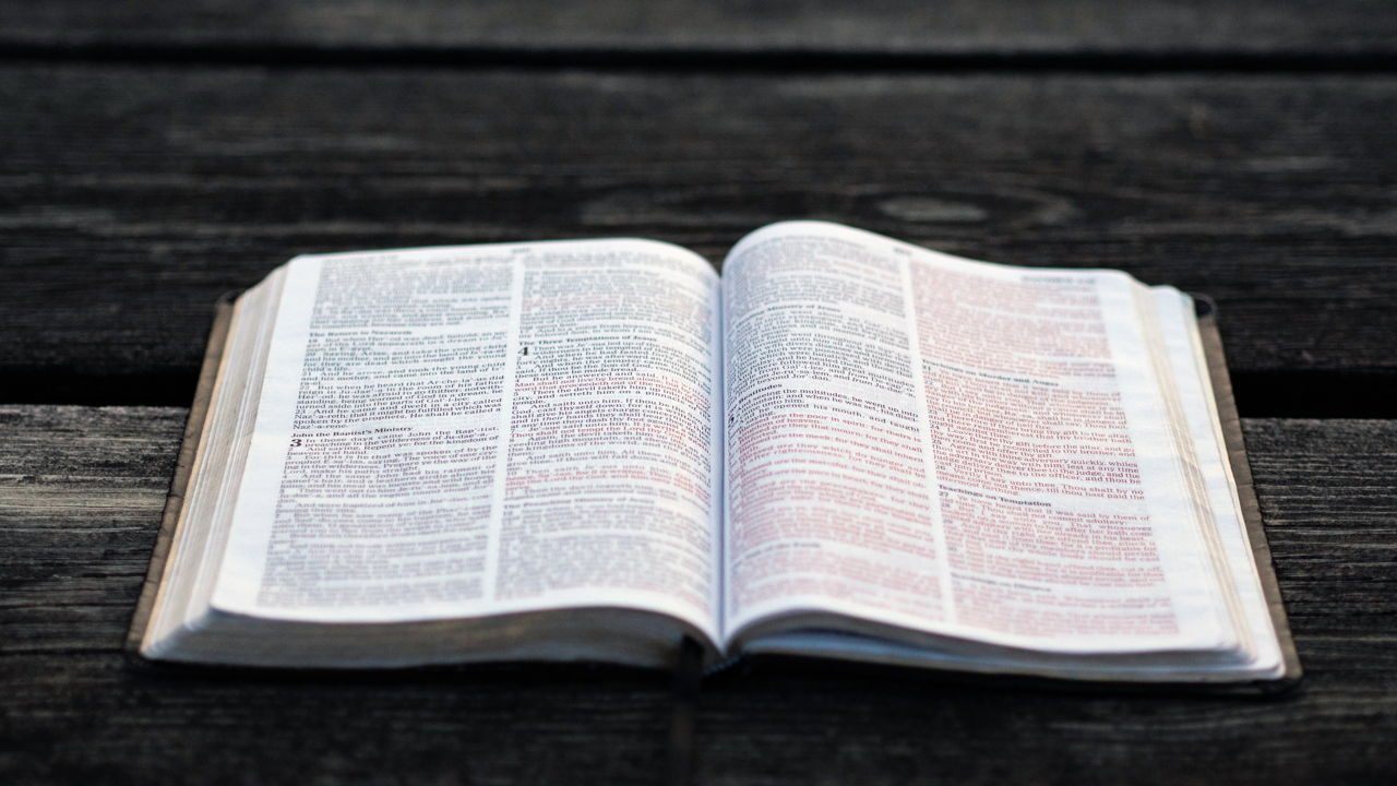 How Many Bibles Are on Your Bookshelf?