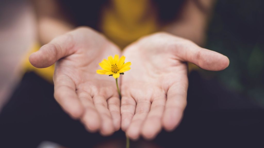 woman holding yellow flower