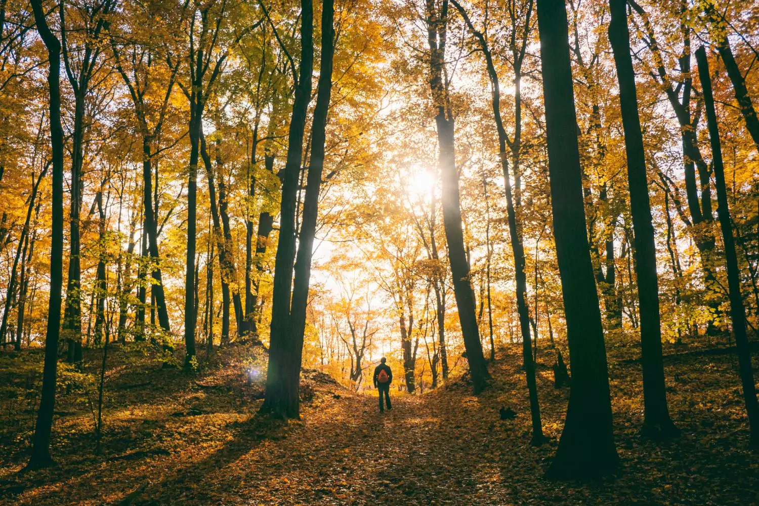 20 Ways to Reset Your Life This Fall