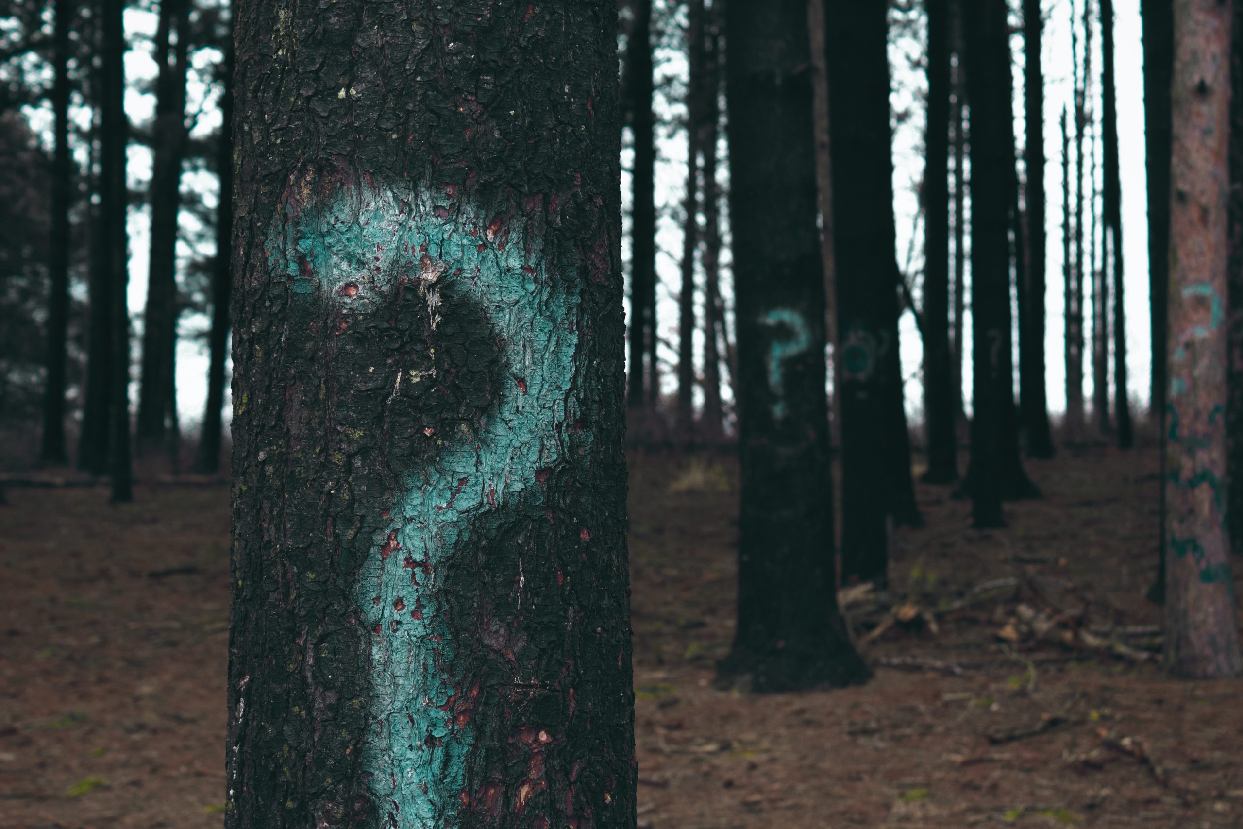 What to Do With Doubt